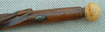 Elisha's Cane Snake head closeup.jpg